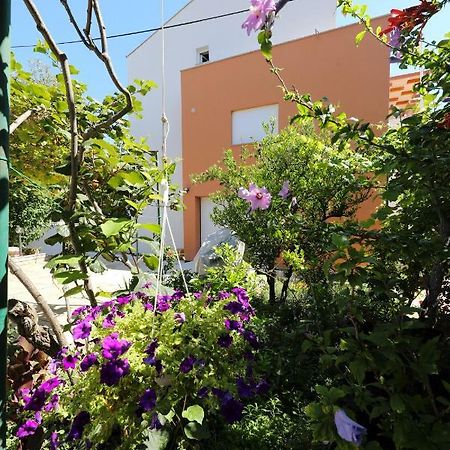 Apartments Ivanov Zadar Dış mekan fotoğraf